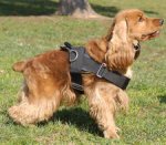Adjustable Cocker Spaniel harness- nylon dog harness for Cocker Spaniel