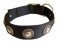 Adjustable Nylon Dog collar with silver conchos