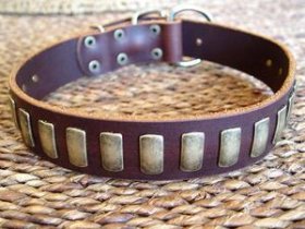 Adjustable Gorgeous Wide Leather Dog Collar With Plates