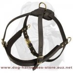 Amazing Tracking Leather Dog Harness