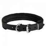 Padded Leather Collar for Dog Attack Training