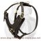 Adjustable Border Collie Leather Dog Harness- Tracking,Walking Dog Harness