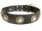 Adjustable Leather Dog Collar with silver conchos