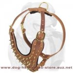 Handmade Brass Spiked Leather Dog Harness