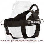Nylon Dog Harness For Working Canines