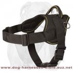 Adjustable Australian Cattle Dog harness-Nylon dog harness for pulling/trac