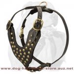 Studded Leather Dog Harness