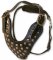 Adjustable Studded Leather Dog Harness - Padded leather dog harness