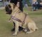Adjustable Old English Mastiff Tracking/walking/Pulling Dog Harness