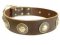 Adjustable Leather Dog Collar with silver conchos