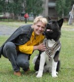 Adjustable Akita Inu Royal Dog Harness - Exclusive Studded Leather Harness