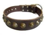 Adjustable Gorgeous Wide Leather Dog Collar - Brown