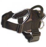 Adjustable Walking Nylon multi-purpose dog harness