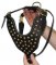 Adjustable Studded Walking dog harness