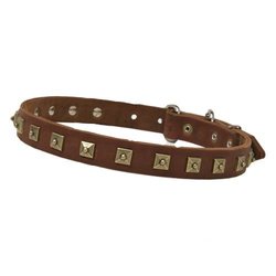 Luxury decorated leather dog collar with attractive brass studs Luxury decorated leather dog collar with attractive brass studs