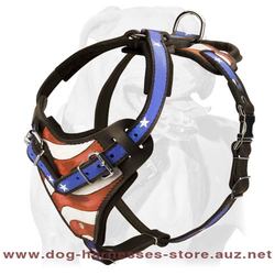 American Flag Leather Dog Harness