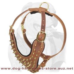 Handmade Brass Spiked Leather Dog Harness