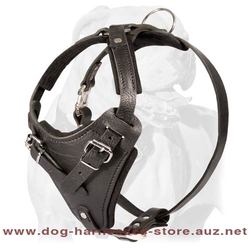 Easily Adjustable Leather Dog Harness