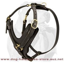 Luxury Handcrafted Leather Dog Harness