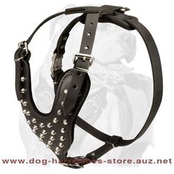 Leather Dog Harness With Cones