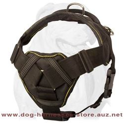 Nylon Dog Harness For Rainy Weather