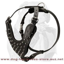 Handmade Nickel Spiked Leather Dog Harness