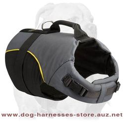 All Weather Nylon Dog Harness With Handle