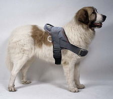 Pyrenean Mastiff Adjustable Nylon dog harness with handle