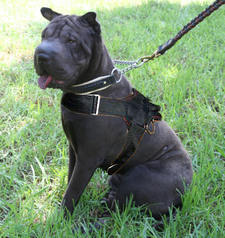 Sharpei nylon dog harness with handle for walking/tracking