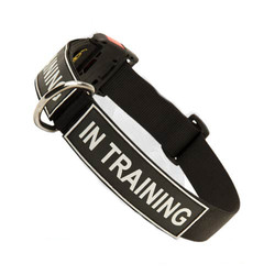 Strong Nylon Dog Collar with Patches and Quick Release Buckle Strong Nylon Dog Collar with Patches and Quick Release Buckle