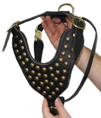 Adjustable Bouvier Studded Walking dog harness