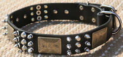 Adjustable Best collar -Leather Dog Collar-brass massive plates&spiked