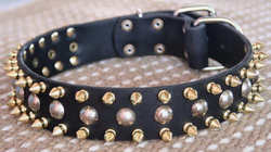 Adjustable 3 Rows brass Leather Spikes & Studded best Dog Collar