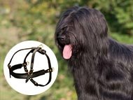 briard-harnesses-category