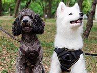 small-harnesses-category