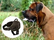 tosa-inu-harnesses-category