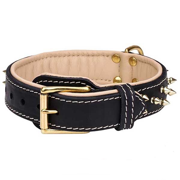 Durable brass buckle of leather dog collar