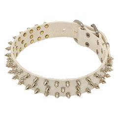 Securely riveted dog collar