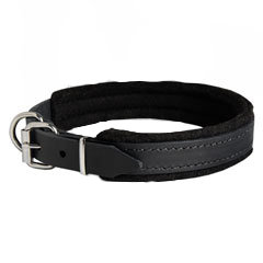 1 inch wide leather collar