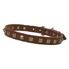 Luxury leather collar