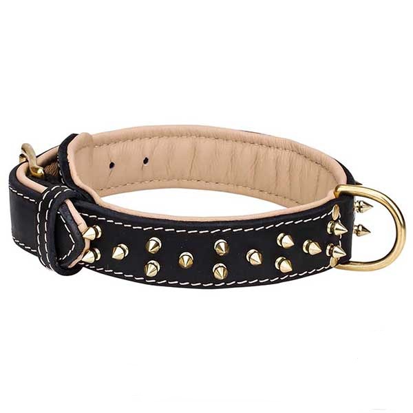 Nappa padded spiked leather dog collar