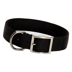 Extra comfort dog collar