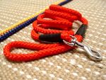 Adjustable Cord nylon dog leash - dog lead for walking training