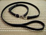 Adjustable Police / hunting" dog leash and collar (combo)