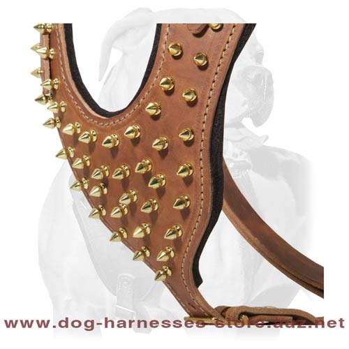 Leather Dog Harness For Active Dogs