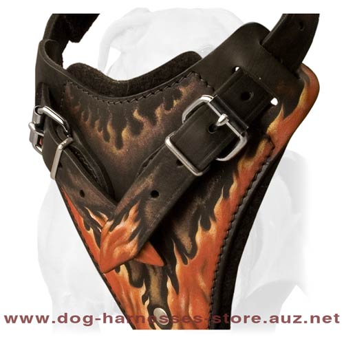 Unusual Leather Dog Harness