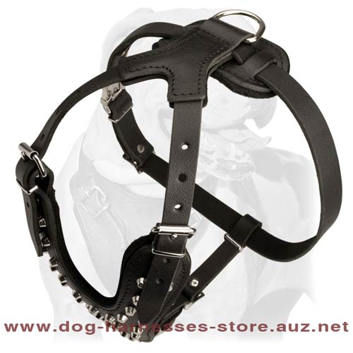 Royal Leather Dog Harness