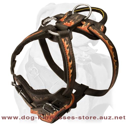 Cool Stylish Leather Dog Harness