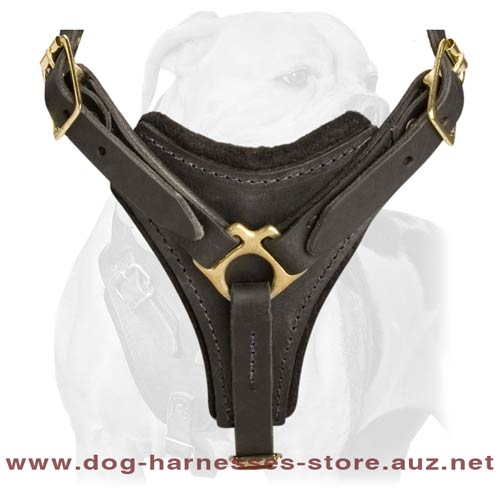 Magnificent Leather Dog Harness