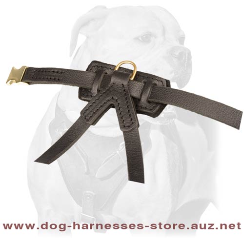 Splendid Leather Puppy Harness